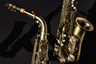 _wpframe_custom/gallery/files/wpf_sites_paragraphs_parts/t_saxophon-iconpng_1711457481.png