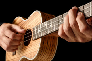 _wpframe_custom/gallery/files/wpf_sites_paragraphs_parts/t_ukulele-ohnebalkenjpg_1588245408.jpg
